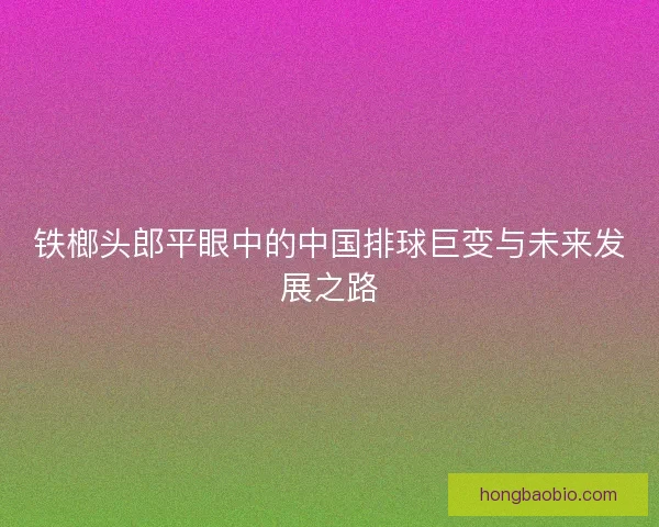 铁榔头郎平眼中的中国排球巨变与未来发展之路