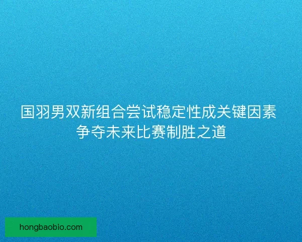 国羽男双新组合尝试稳定性成关键因素 争夺未来比赛制胜之道